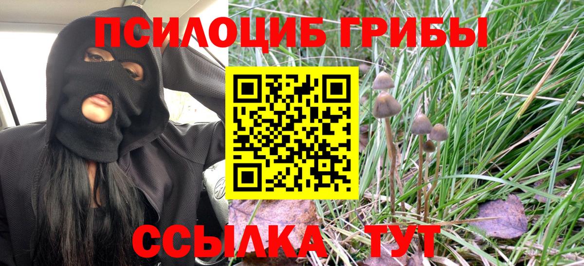 Псилоцибиновые грибы мицелий Старый Оскол
