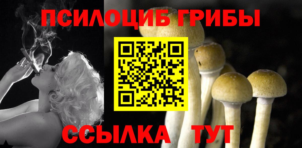 Псилоцибиновые грибы GOLDEN TEACHER  Галлюциногенные грибы Psilocybe  Вход с VPN  Старый Оскол 